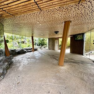 Sumatran Tiger Panorama