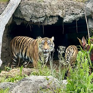 Zayana and Cahya in Cave
