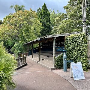 Elephant Exhibit (Viewing Stand)