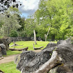 Elephant Exhibit (Back Paddock)