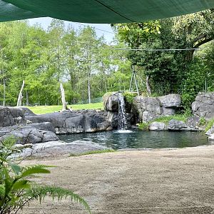 Elephant Exhibit (Pool)