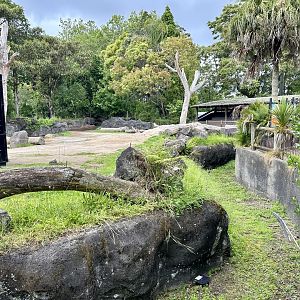Elephant Exhibit (Dry Moat)