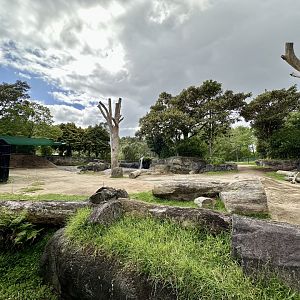 Elephant Exhibit