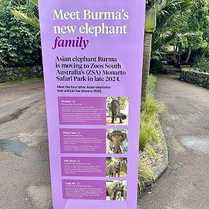 Elephant Signage - Burma’s New Family