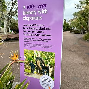 Elephant Signage - Elephant History