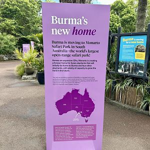 Elephant Signage - Burma’s New Home