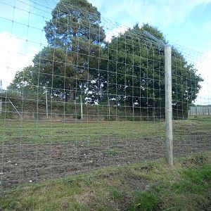 Brow-antlered deer enclosure