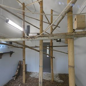 Pygmy marmoset indoor enclosure