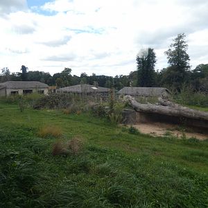 African hunting dog enclosure