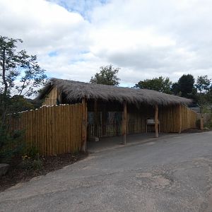 African hunting dog viewing area