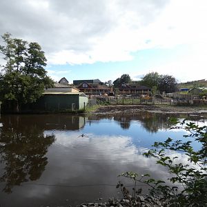 Common hippopotamus enclosure