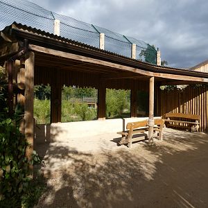 Sumatran tiger viewing area