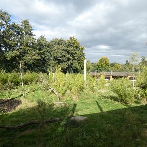 Sumatran tiger enclosure