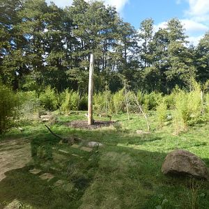 Sumatran tiger enclosure