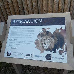 Lion signage