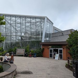 Faces of the Rainforest Exhibit