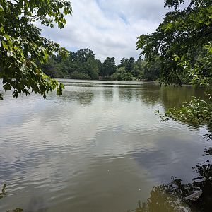 Large Zoo Lake