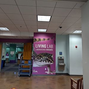 Entrance to the Live Animal Area