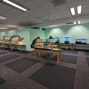 General View in Live Animal Lab