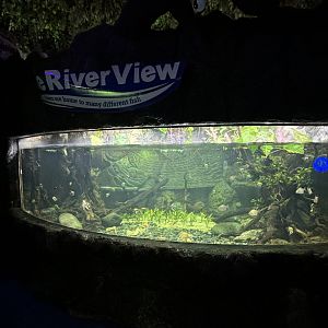 River View Aquarium Tank