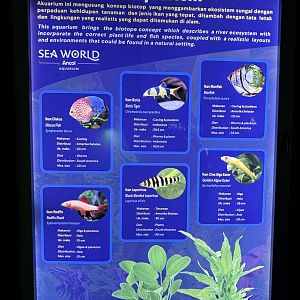 River View Aquarium - Species List