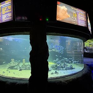 Main Aquarium Hallway