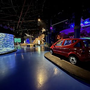 Main Aquarium Hallway + Car Aquarium