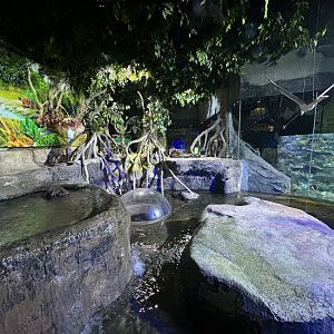 Wetland Exhibit