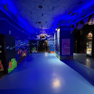 Second Aquarium Hallway