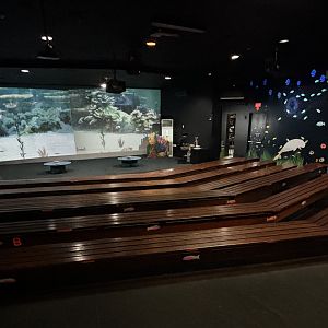 Video Screen - Seating Area