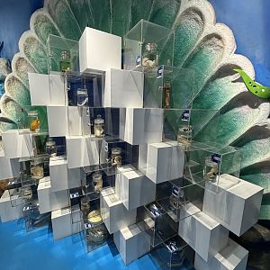 Digital Gallery - artistic!