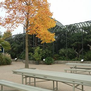 Bird House - Outdoor Aviaries