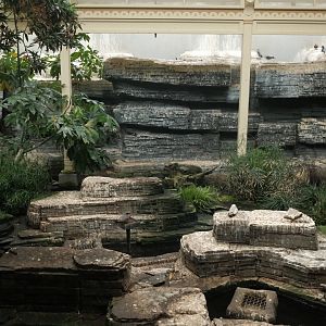 Bird House - Coastal Indoor Aviary