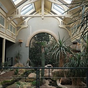 Bird House - Desert Indoor Aviary