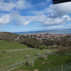 View of Colwyn Bay from snow leopard viewing area