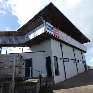 Snow leopard house and viewing area