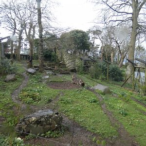 European brown bear enclosure