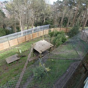 Sumatran tiger outdoor enclosure