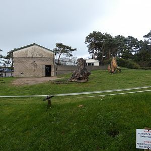 Bactrian camel enclosure