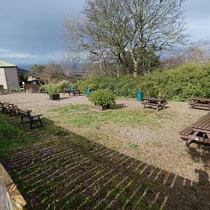 Site of former snow leopard enclosure