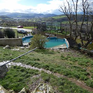 Humboldt's penguin enclosure
