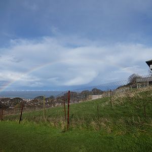 Rainbow over the zoo