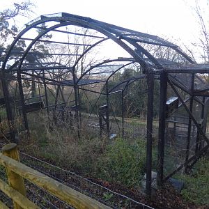 Red squirrel enclosure