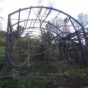 Red squirrel enclosure