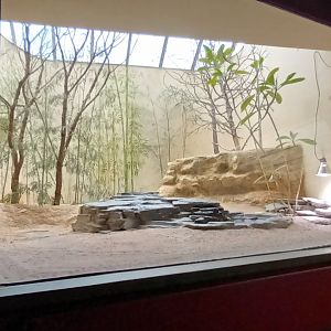 Bird House: Village Weaver Aviary