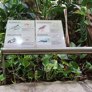 Bird House: Signage Example