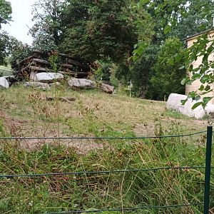 Pachyderm House: Eastern black Rhino Enclosure
