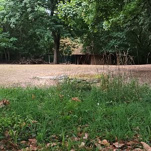 South American Pampas