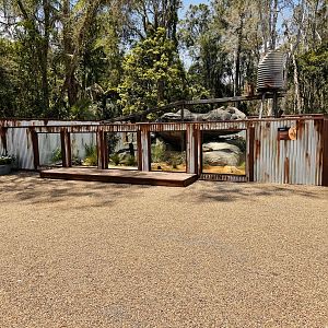 Perentie enclosure