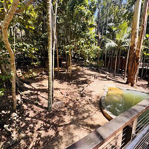 Capybara enclosure